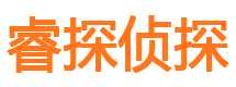 延川市侦探调查公司